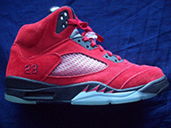 torobravo2
