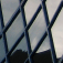 torontothumbnail